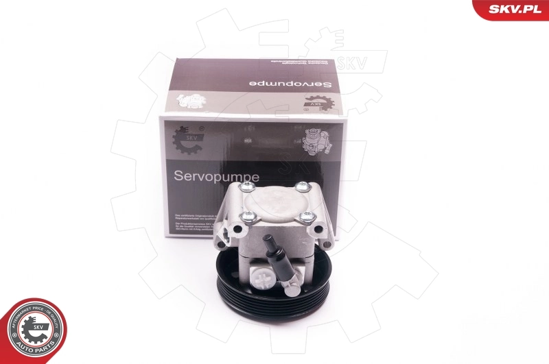 Hydraulic Pump, steering